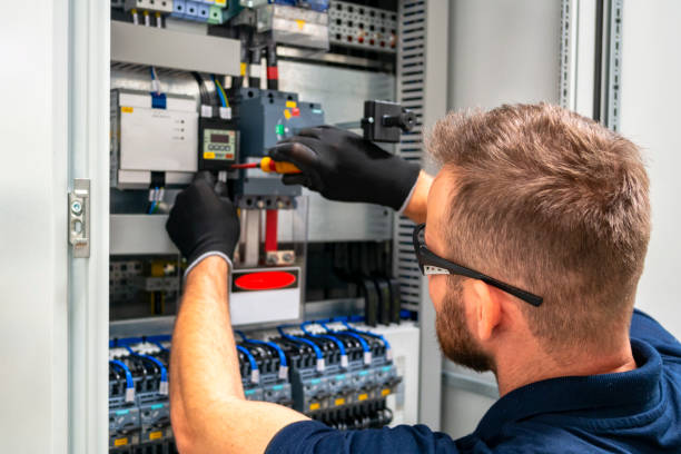 Best Home Electrical Repair  in Wona Lake, IN